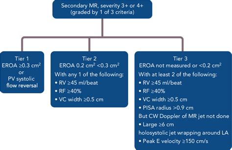 Echocardiographic Criteria For Diagnosis Of Secondary Mitral Regurgitation Download Scientific