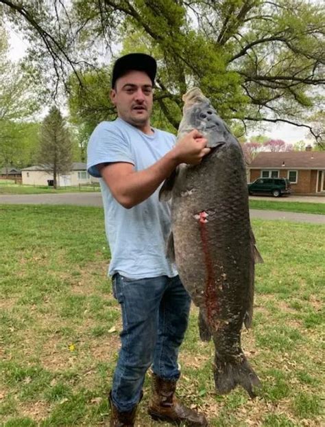 Monster Smallmouth Buffalo Nabbed in Kansas - Authority Sportsman