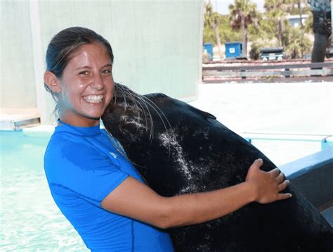 Sea Lion Hug Panama City Beach Swimming With Dolphins 1 800 667 5524