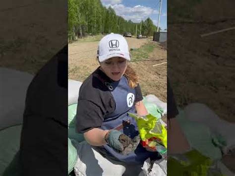 #сад #дача #семена #семенаалтая - YouTube