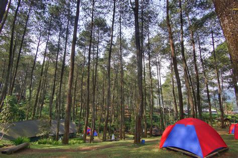 Camping Cikole Lembang Bandung