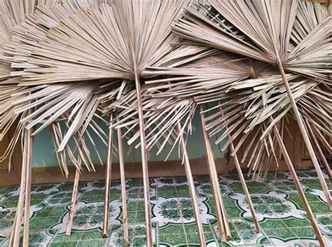 la  lop nha  tuong hay cho moi gia dinh xuong tre truc