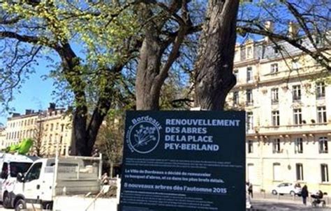 Bordeaux Trois Arbres Centenaires De La Place Pey Berland Vont Tre