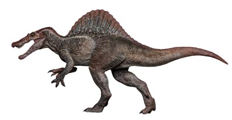 Spinosaurus Jurassic Park Iii Png 13 By Jakeysamra On Deviantart