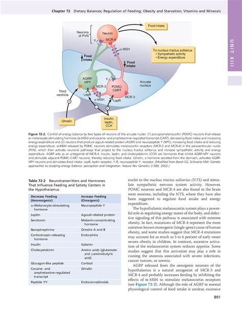 Guyton And Hall Medical Physiology 13nbsped 282 Chapter 72 Dietary Balances Regulation Of