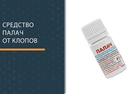 ПАЛАЧ от клопов – отзывы и инструкция по применению