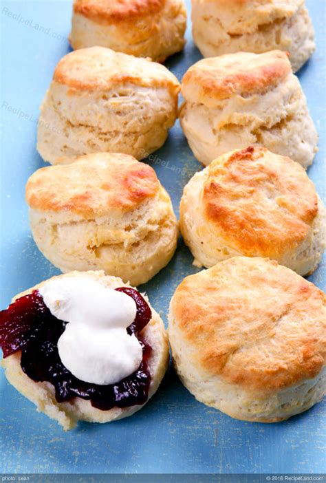 Biscuit Baking Mix Recipes (Biscuits) Recipe