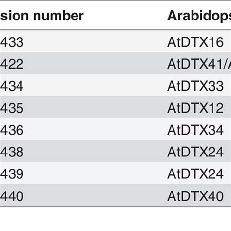 Putative Mate Transporters From Blueberry And Their Closest Arabidopsis