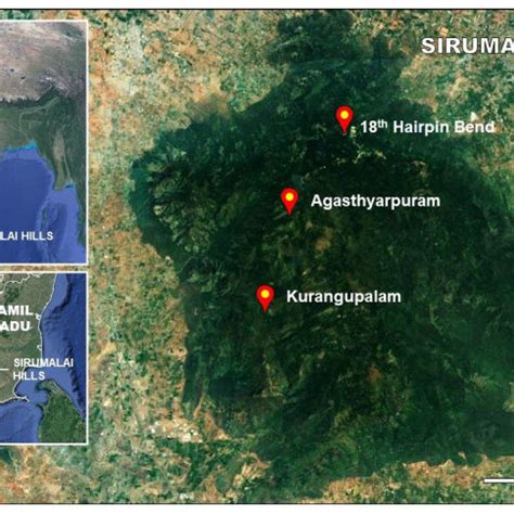 Map showing the lichen collection sites in Sirumalai hills. The top ...