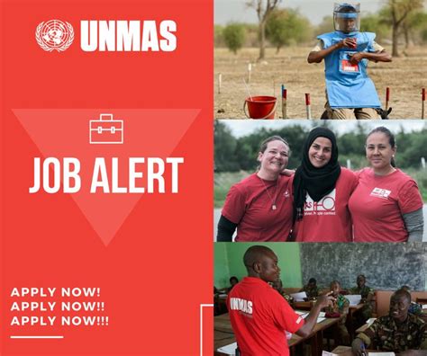 United Nations Mine Action Service Unmas On Linkedin 📢career