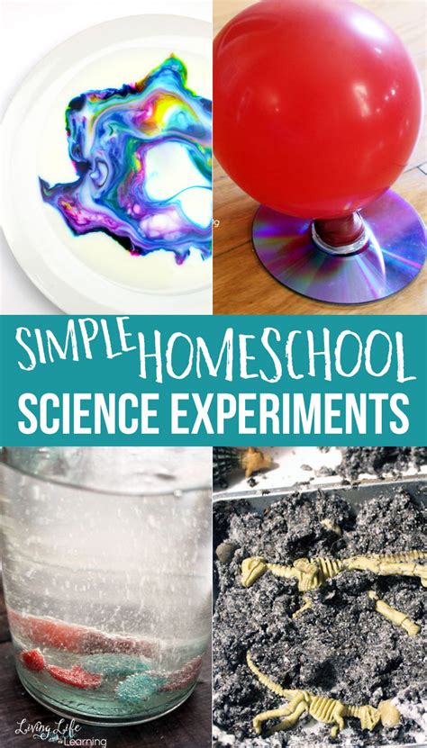 Simple Comparison Science Experiments