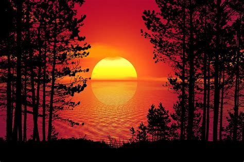 Download Sunset, Trees, Forest. Royalty-Free Stock Illustration Image - Pixabay