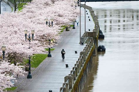 The Best 10 Parks in Portland