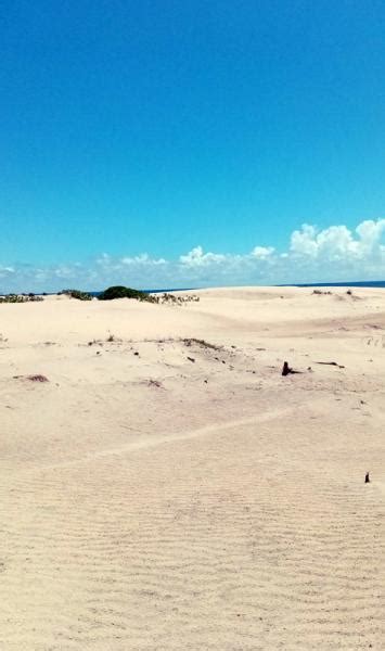 For Sale Development Property Mambrui Mambrui Kenya Off B8 Lamu