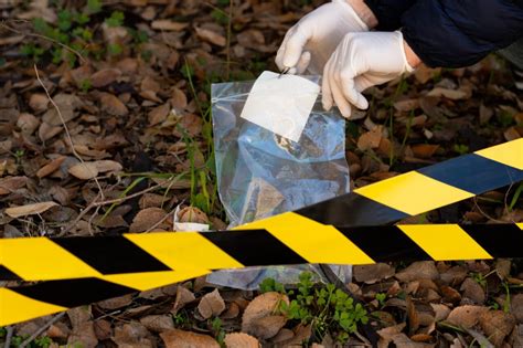 Curitiba Sedia Congresso Brasileiro De Criminologia Nesta Quarta