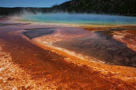 21 Asombrosas Fotos Del Parque Nacional De Yellowstone