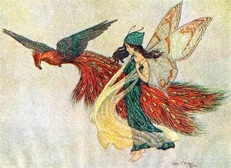 Hilda Miller Fairy Artwork Fairy Book Fairy Illustration