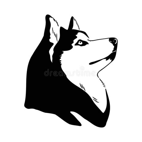 Husky Isolated On White Background Stencil Dog Silhouette Stock