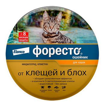 Лучшее средство от клещей для кошек: топ средств от блох и клещей для кошек