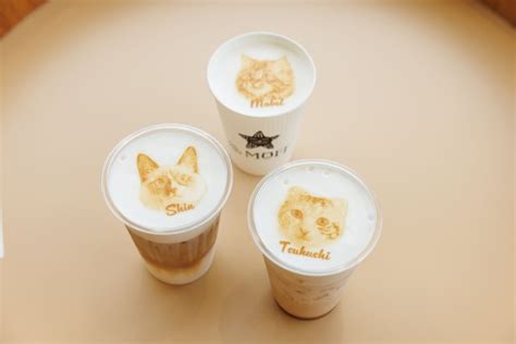 『0歳から入園可！ネコたちとの癒しの空間♪』cat Café Moff グランベリーパーク店（キャットカフェモフ グランベリーパーク店）の最新