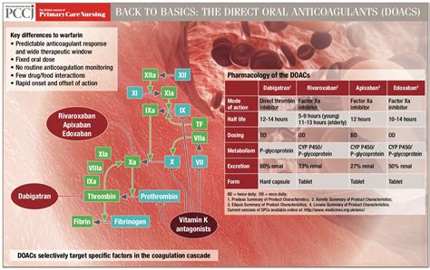 Back To Basics The Direct Oral Anticoagulants Doacs Issues And Answers