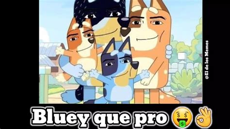 Momentos Xd De Bluey Bluey Xd Youtube