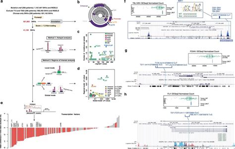 Noncoding Mutations In CPGEA A Schematic Workflow Of Noncoding