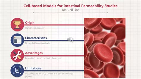 Comparison of caco 2 with other cell-based models for intestinal ... 