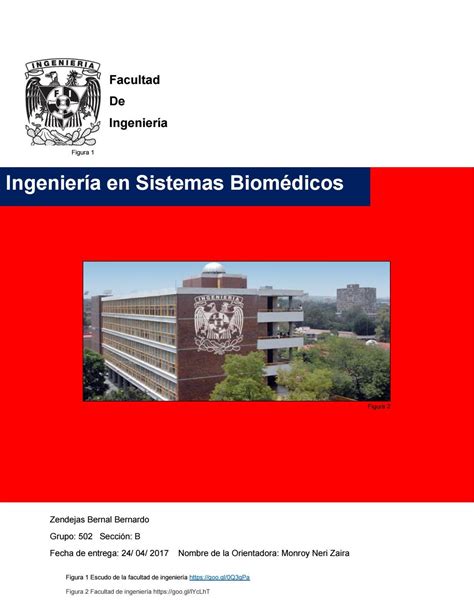 Ingenier A En Sistemas Biom Dicos By Berny B Issuu