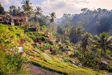 Insiders Guide To Ubud Find Your Path To Bali S Cultural Heart