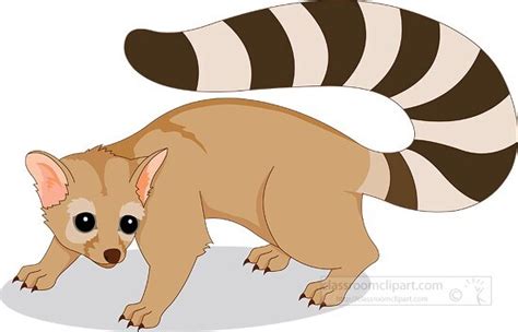 Mammal Clipart Ringtail Animal Cat