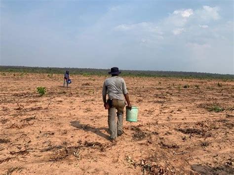 Piauí resgata 158 trabalhadores em situação análoga a escravidão em