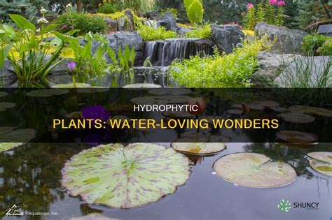 Hydrophytic Plants: Water-Loving Wonders | ShunCy