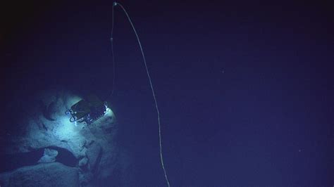 Dive Highlights Puerto Rico Trench | Nautilus Live