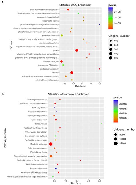 A Go Enrichment Analysis Of Differentially Expressed Unigenes Between