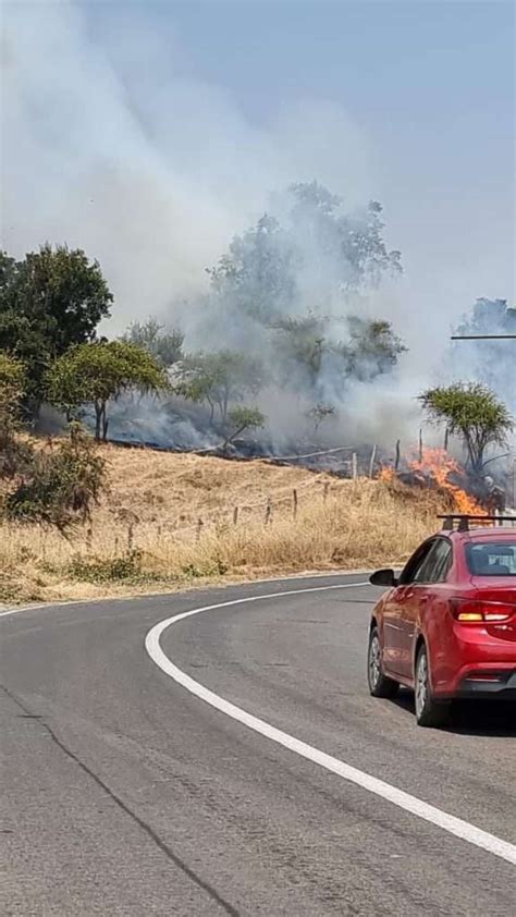 Declaran Alerta Roja Por Incendio Forestal En Lolol