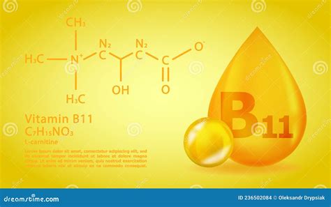 Realistic B11 L Carnitine Vitamin Drop With Structural Chemical Formula