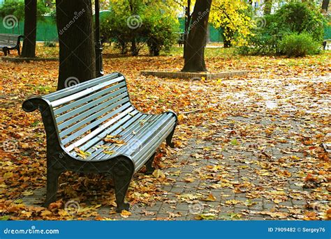 Bench In A Park Stock Photo Image Of Natural Lane Autumnal 7909482