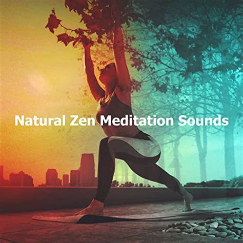 Amazon.com: Natural Zen Meditation Sounds : Natural Zen Meditation ...