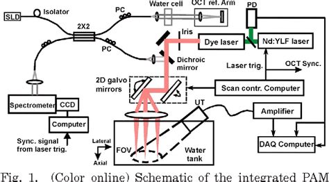 Figure From Simultaneous Multimodal Imaging With Integrated