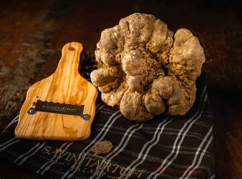 Come E Dove Acquistare Il Tartufo Bianco D Alba Spendendo Il Giusto I