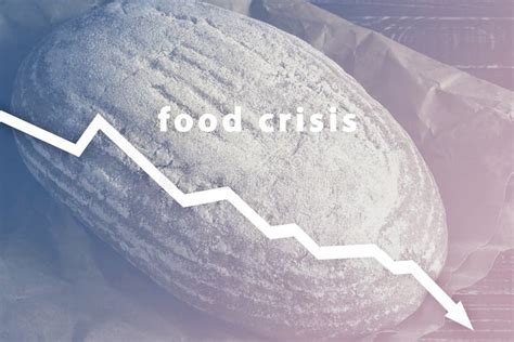 Food Crisis Failed Grain Harvest The Shortage Of Bread Russia`s