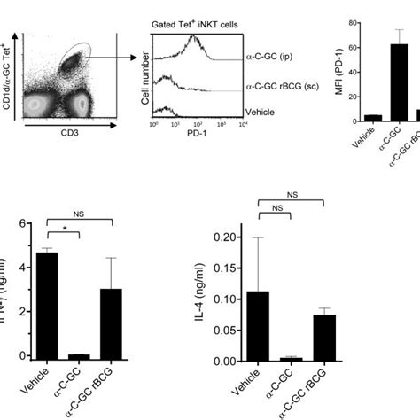 Purified Cd T Cells From Tdtomato Tg Ot I Tcr Tg Mice Labeled With