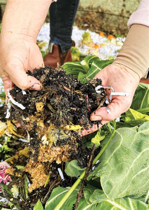 WORM FARMING - The Hows And Whys Of Successful Vermicomposting At Home ...