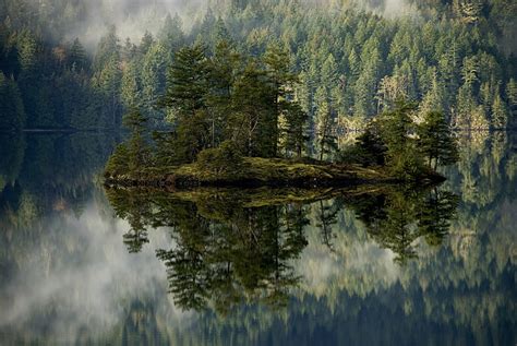 Hd Wallpaper Green Leafed Tree Lot Forest Lake Reflection Island