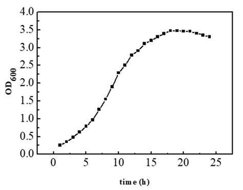 Growth Curve Of Recombinant Escherichia Coli Download Scientific Diagram