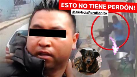 El HOMBRE que LANZÓ a un PERRO a una OLLA de ACEITE HIRVIENDO YouTube