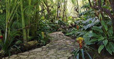 BOTANICAL GARDEN – Puerto Vallarta Discovery