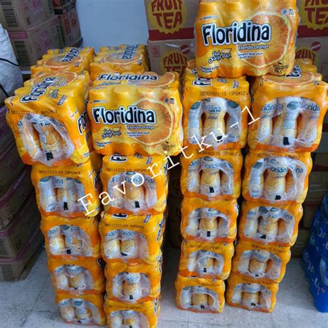 Jual FLORIDINA Real Pulp Orange 350ml 1Bal Isi 12 Botol OJOL Only