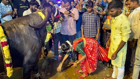 Swapna Yadav Sadar 2023 Sadar Festival 2023 Swapna Yadav Dance